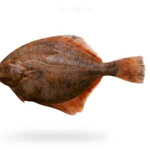 Halibut (Hajjam) Boneless