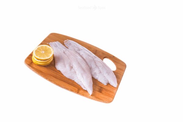 Lemon Sole (Sole)