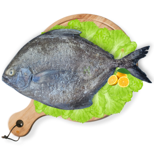 Black Pomfret (Kala Paplet)