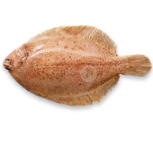 Lemon Sole (Sole)