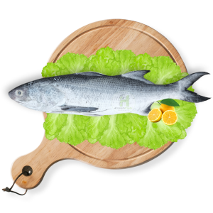 Indian Salmon (Rawas)