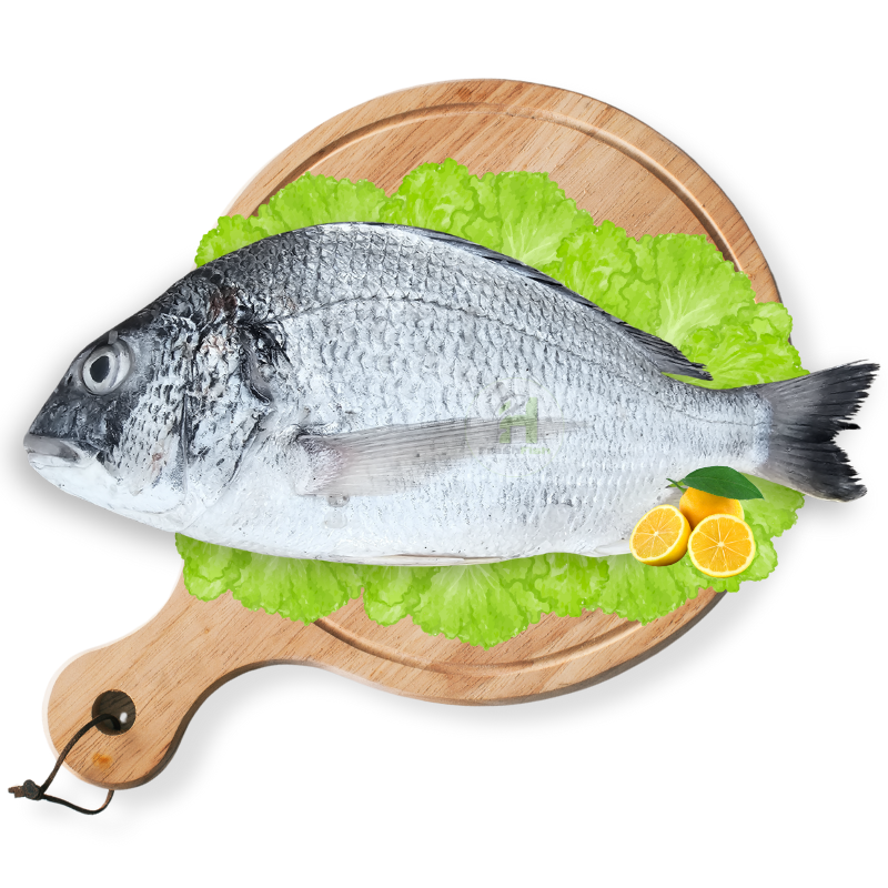 Seabream (Safaid Dandia)