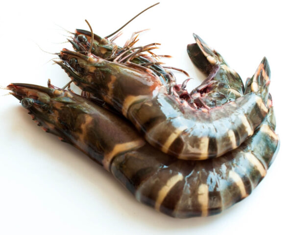 Tiger Prawns (Tiger Jheenga) Full Size