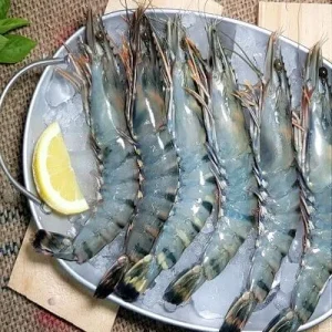 Tiger Prawns (Tiger Jheenga)