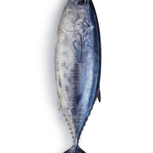 Tuna (Dawan) Boneless