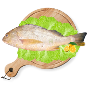 Javelin Grunter (Dhotar)