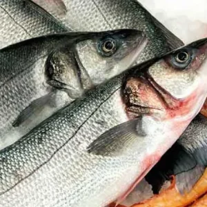 Queen Fish (Saram) Boneless