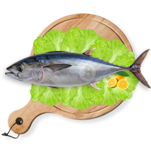 Tuna (Dawan)